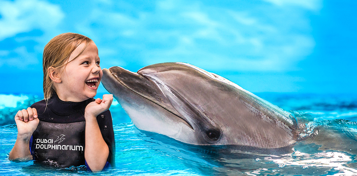 Dubai Dolphin Show Regular Tickets